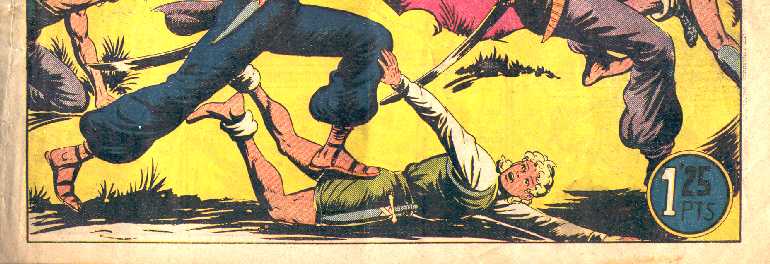 EL GUERRERO DEL ANTIFAZ 118