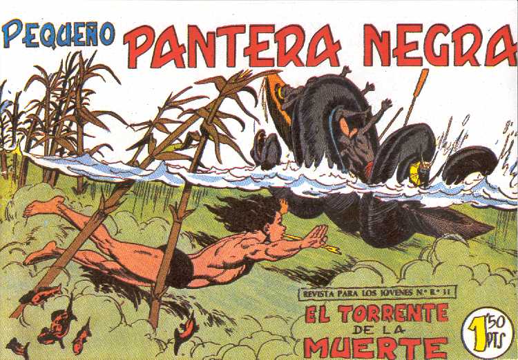 PANTERA NEGRA 144