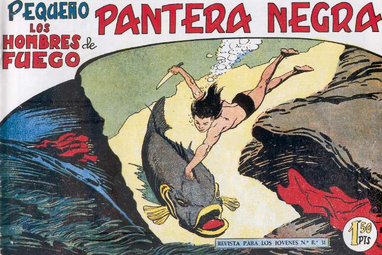 PANTERA NEGRA 154