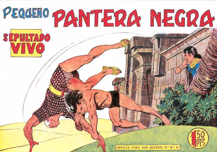 PANTERA NEGRA 163