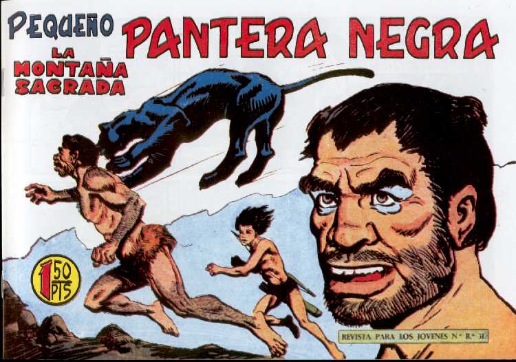 PANTERA NEGRA 177