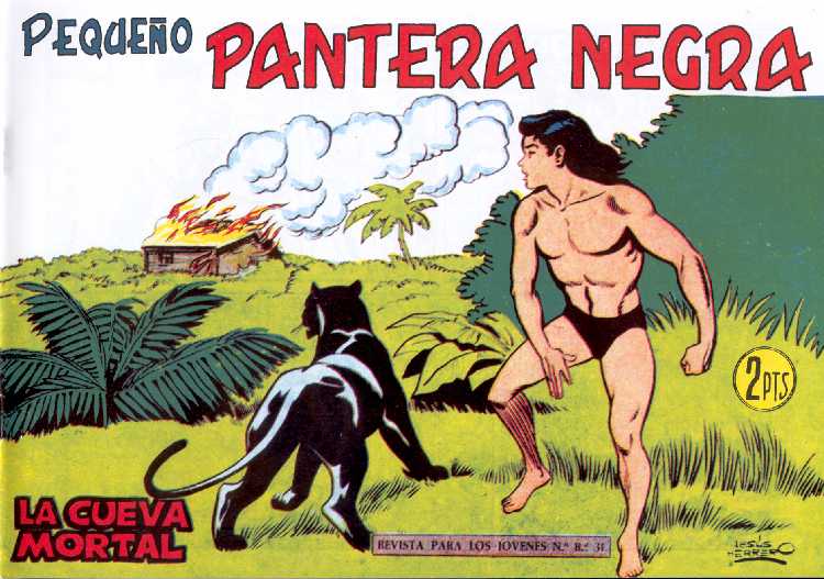 PANTERA NEGRA 193