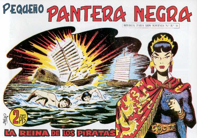 PANTERA NEGRA 205