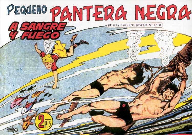 PANTERA NEGRA 207