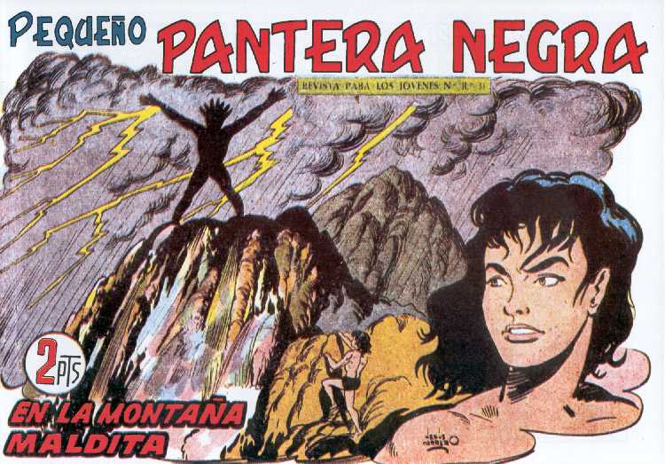 PANTERA NEGRA 217