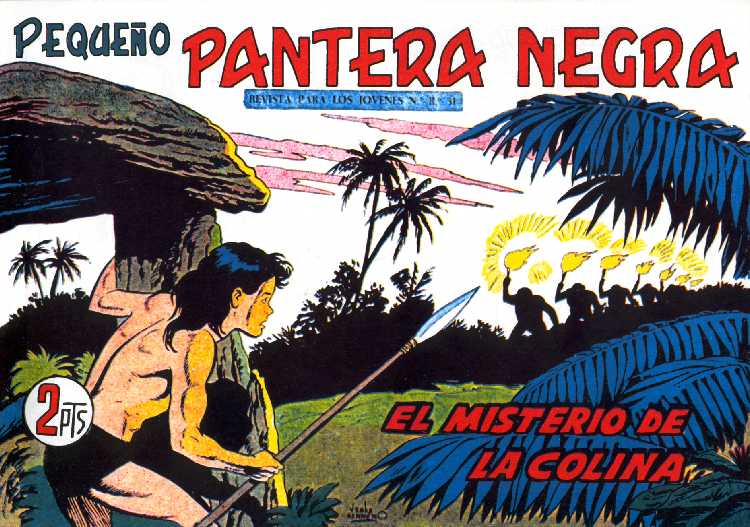 PANTERA NEGRA 222