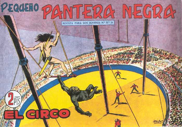 PANTERA NEGRA 238