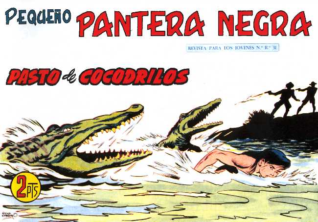PANTERA NEGRA 241