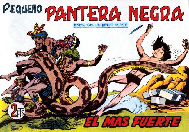 PANTERA NEGRA 242