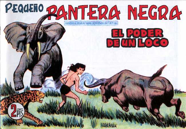 PANTERA NEGRA 254