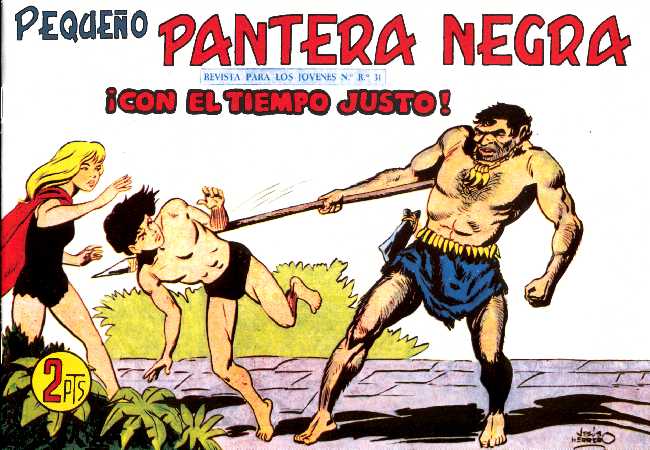PANTERA NEGRA 262