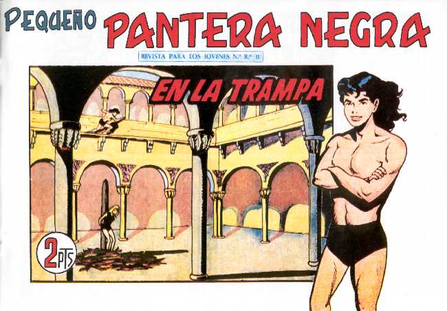 PANTERA NEGRA 267
