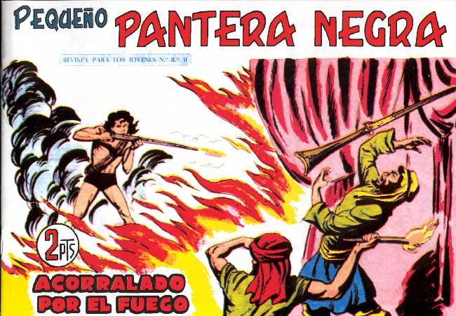 PANTERA NEGRA 268