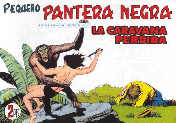 PANTERA NEGRA 294