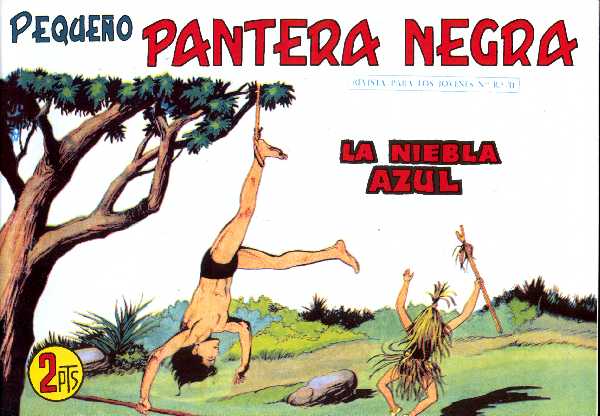 PANTERA NEGRA 304