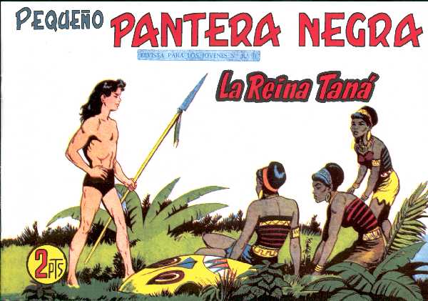 PANTERA NEGRA 306