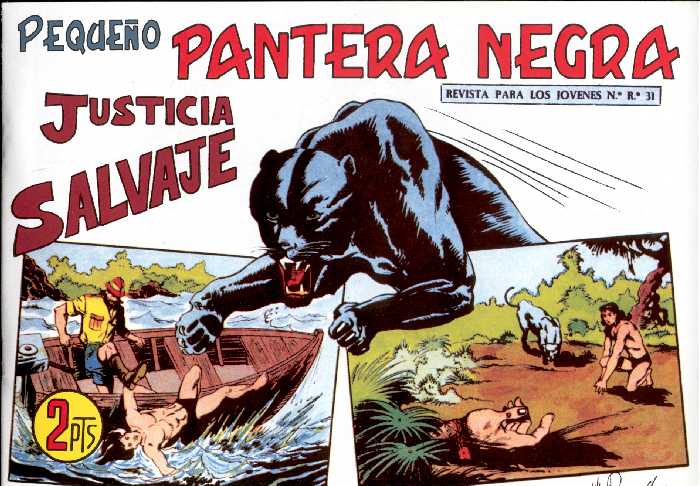 PANTERA NEGRA 311