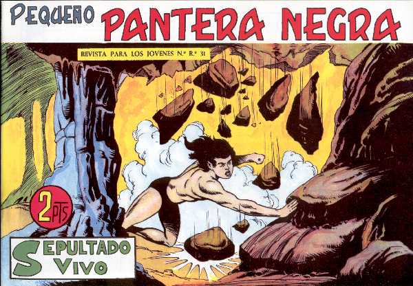 PANTERA NEGRA 324